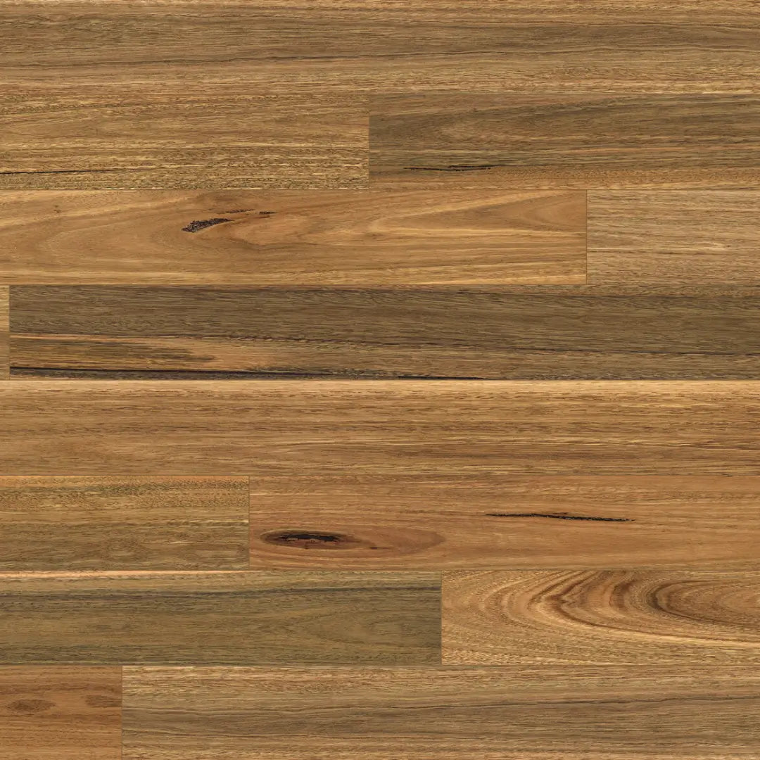Australian Native - Spotted Gum