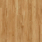 Bloom - Urban Blackbutt