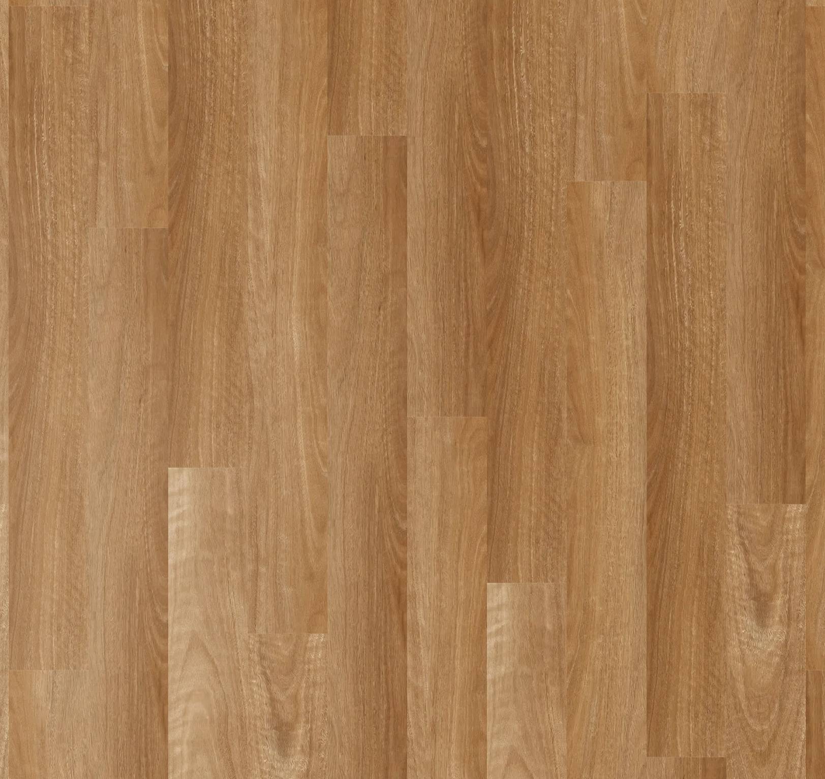 Apollo 1500 - Spotted Gum