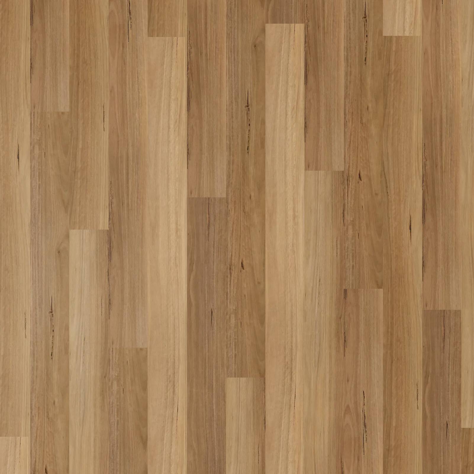 Apollo Hardwood Hybrid - Blackbutt Elegant