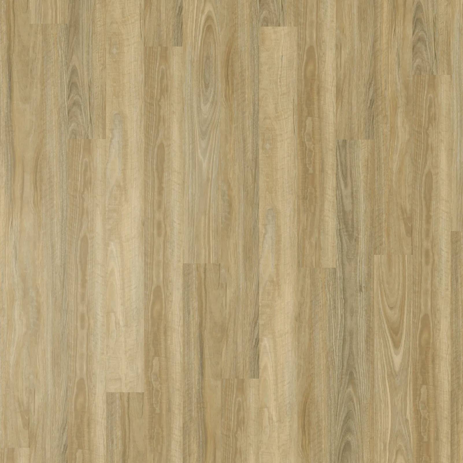 Apollo Hardwood Hybrid - Spotted Gum Blonde