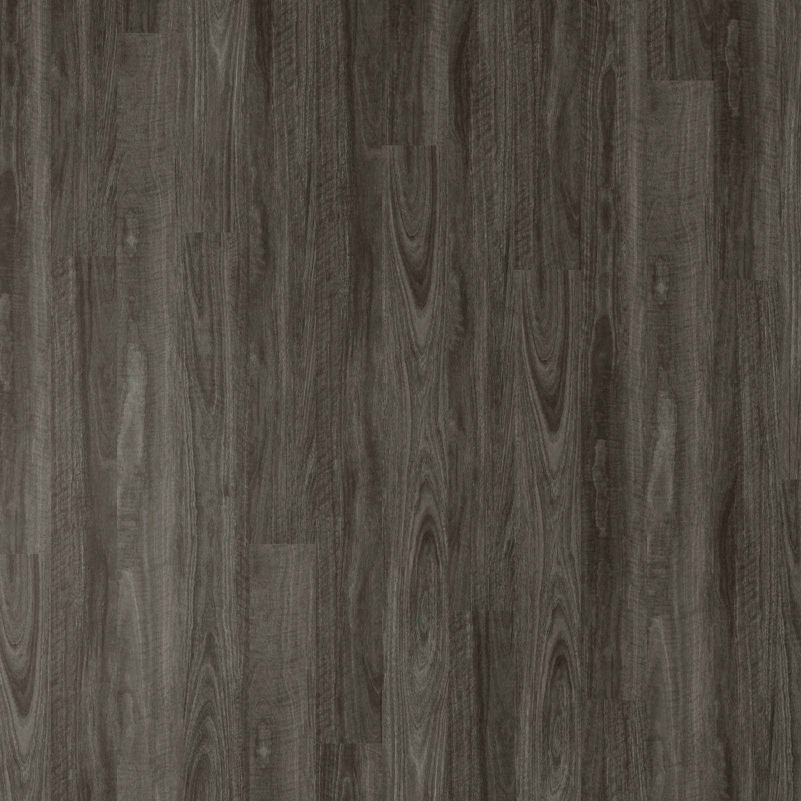 Apollo Hardwood Hybrid - Spotted Gum Burnt