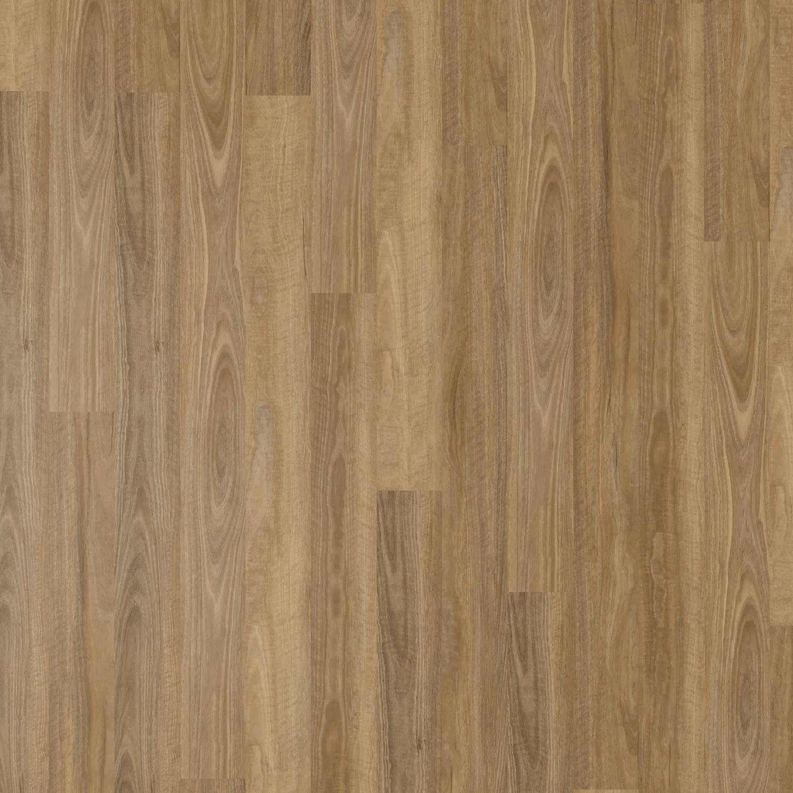 Apollo Hardwood Hybrid - Spotted Gum Coastal
