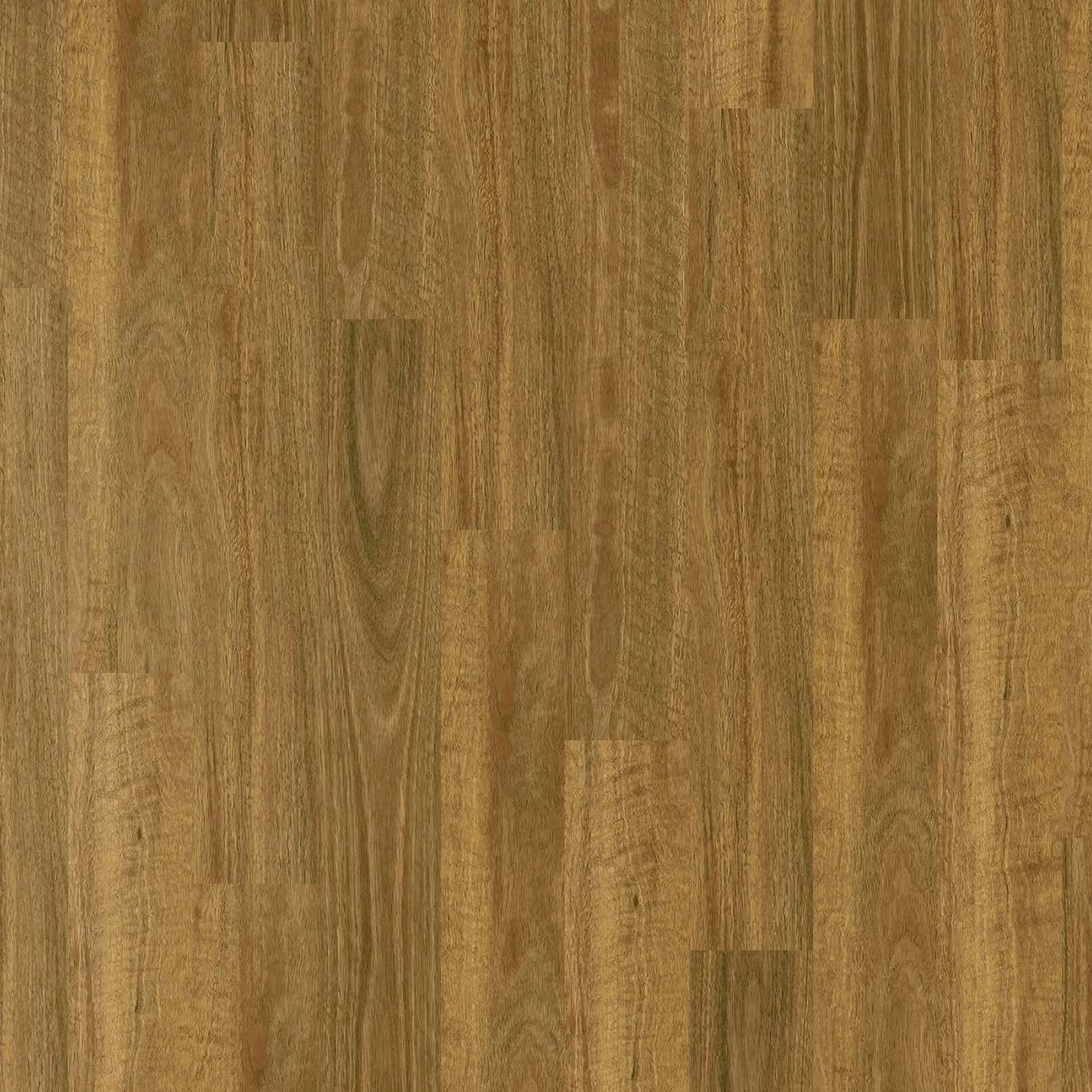 Apollo Hybrid - Grafton Spotted Gum