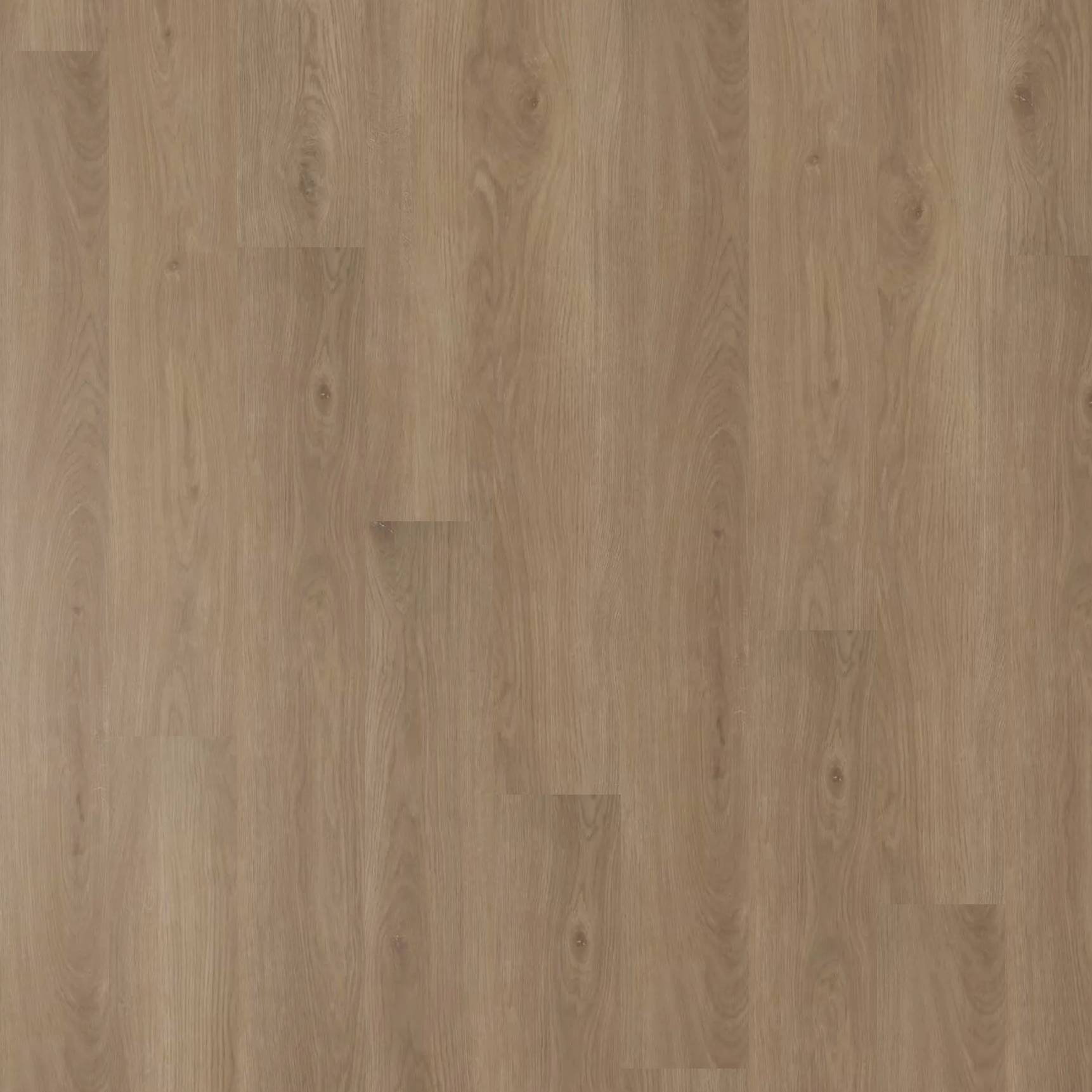 Belle Grande - Cosmo Oak