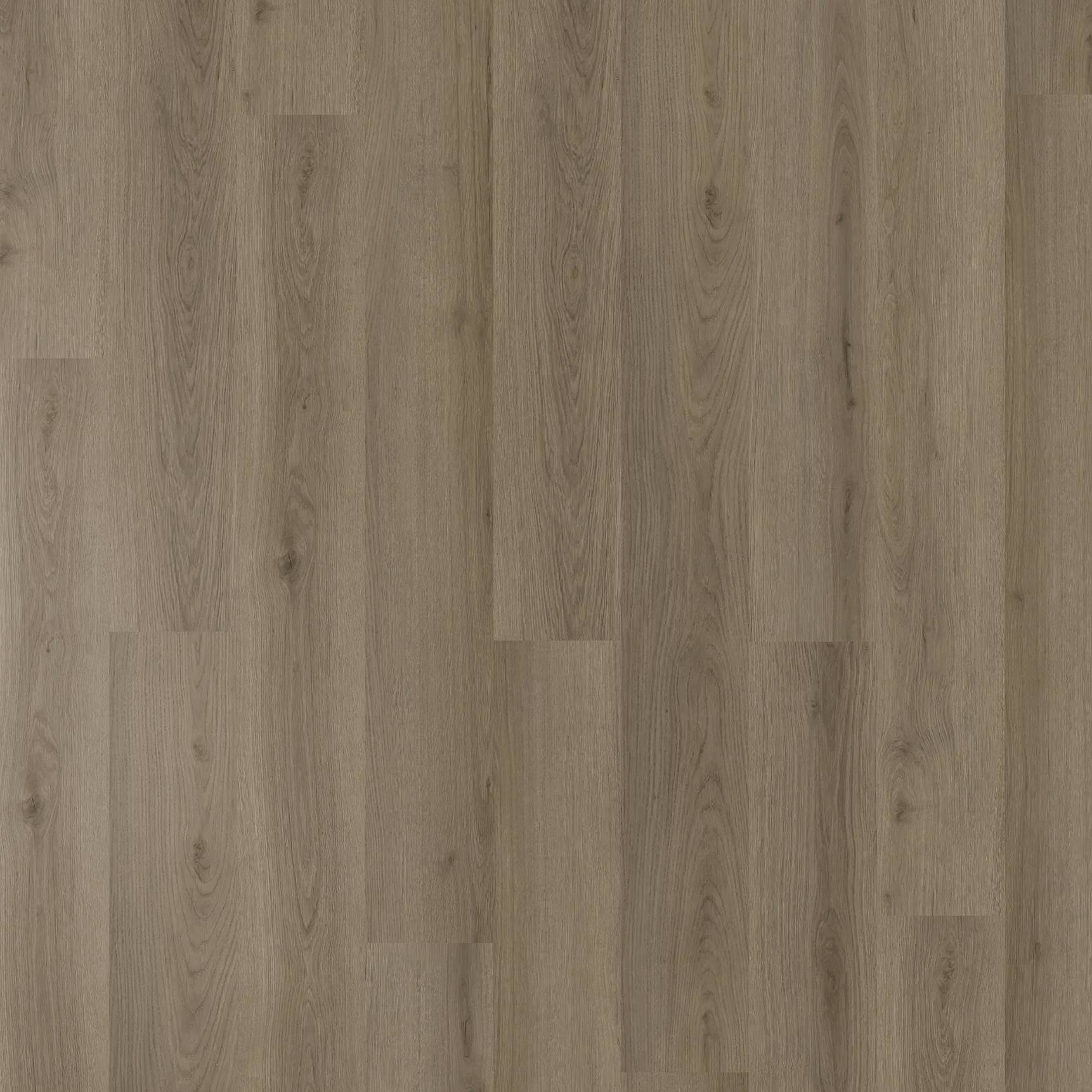 Belle Grande - Northern Oak