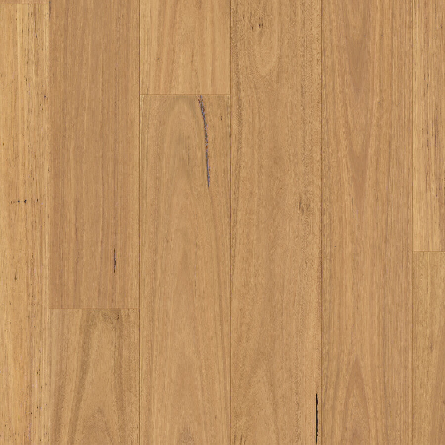 Clix XL - Natural Blackbutt