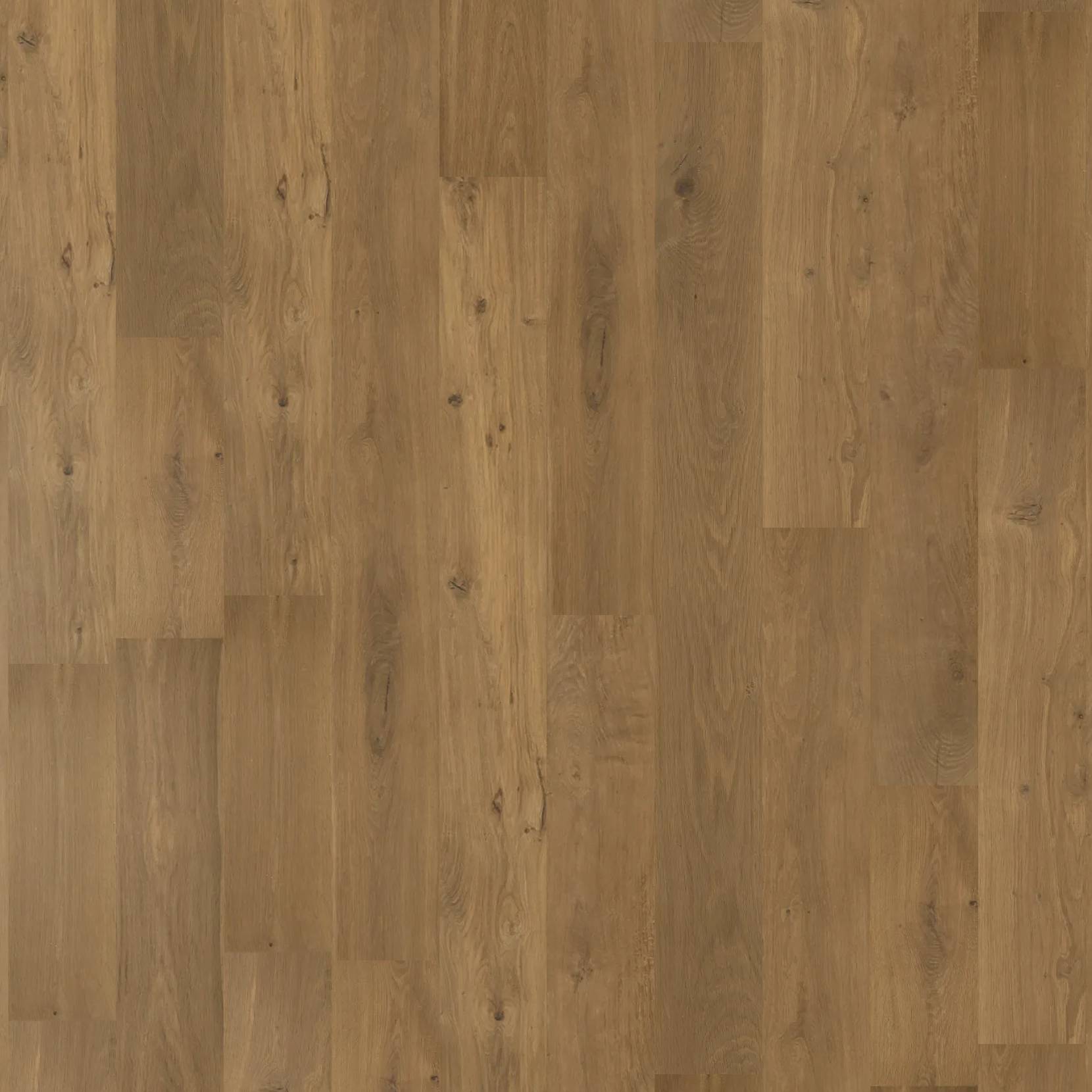 Chateau Oak - Autumn Amber