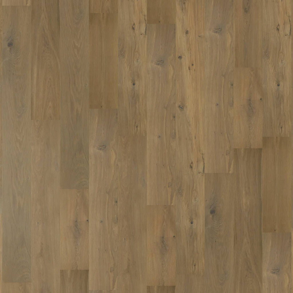Chateau Oak - Bur Oak
