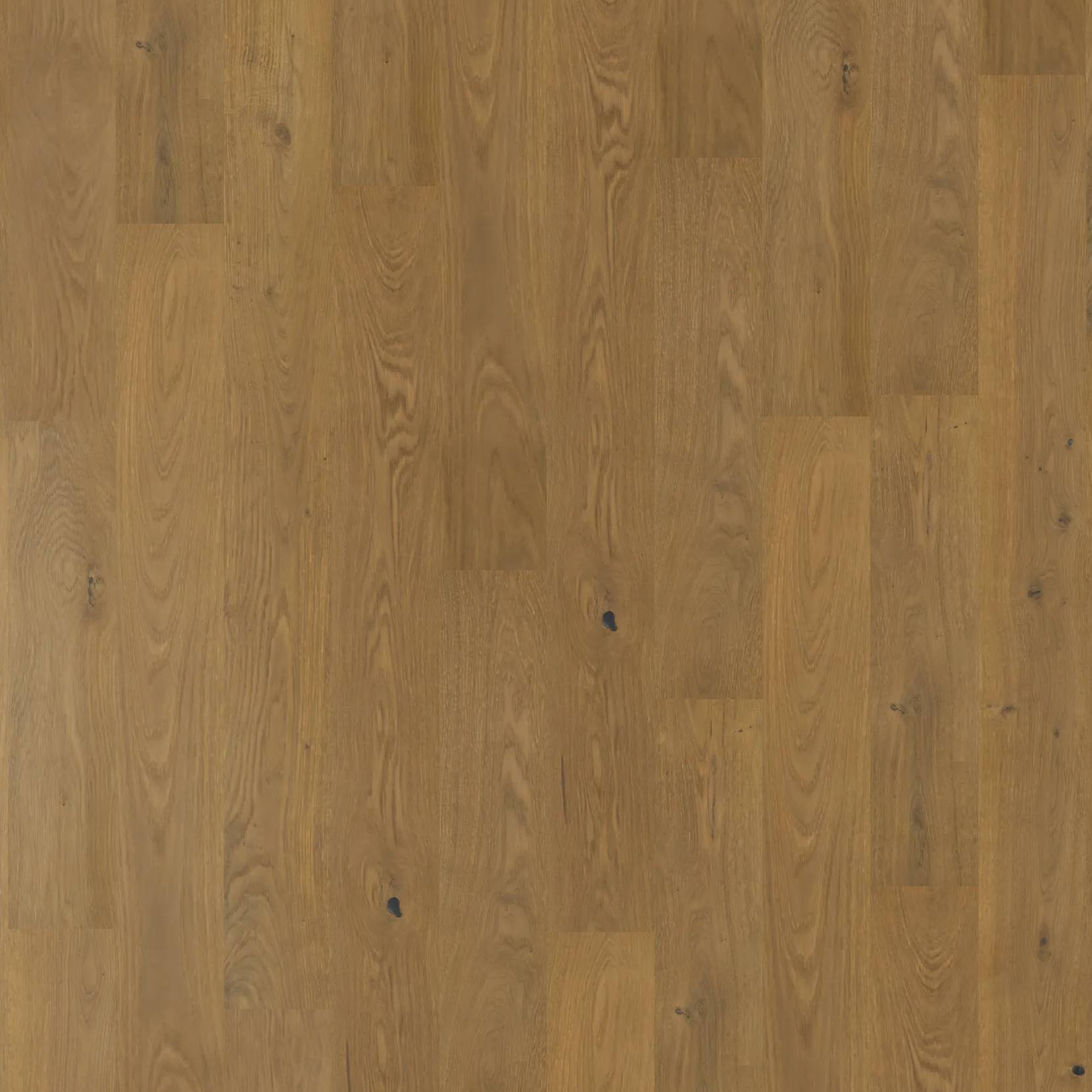 Chateau Oak - Chestnut Oak