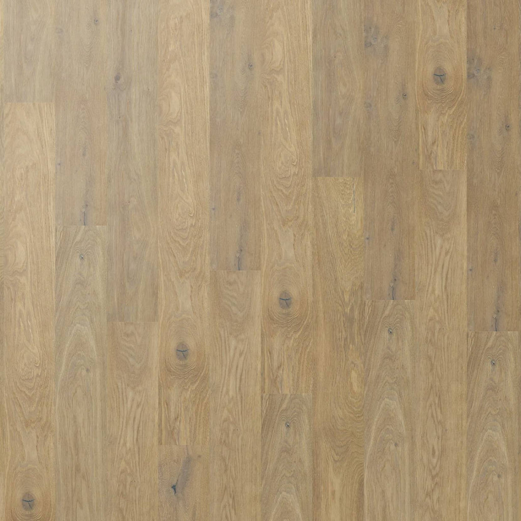 Chateau Oak - Elm Oak