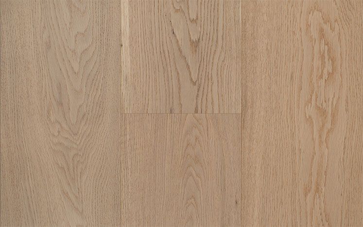 Coastline Collection - Trinity