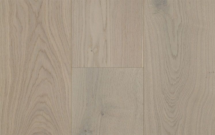 Coastline Collection - Noosa