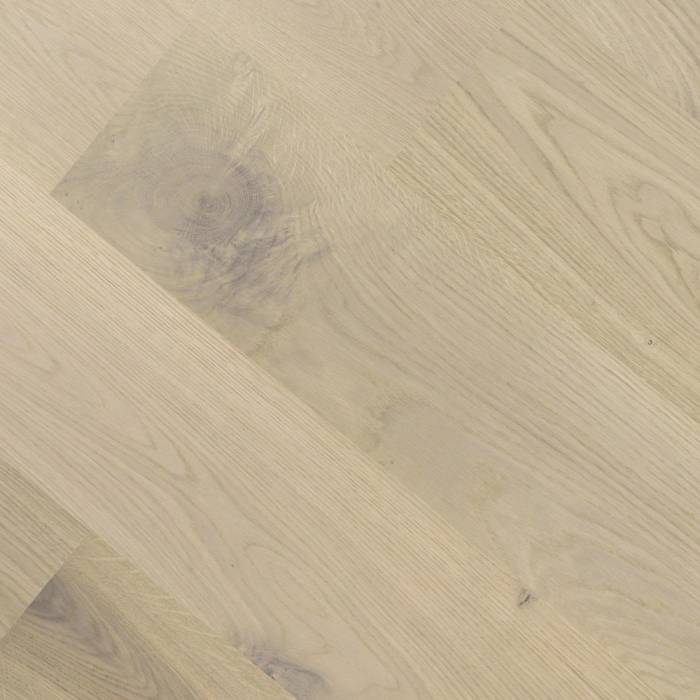 Corsica Oak - Coastal Oak