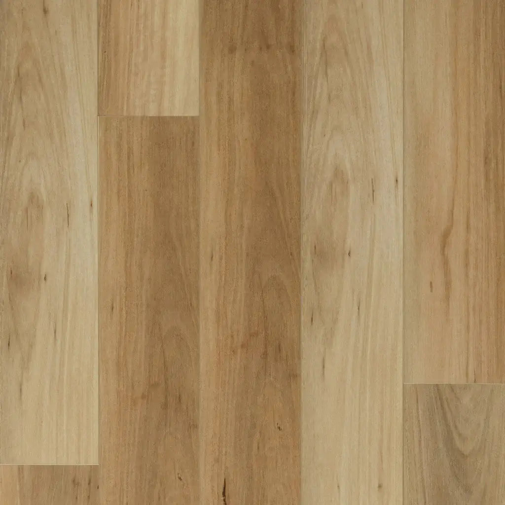 Embelton 5.5mm Hybrid - Coastal Blackbutt