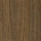 Australian Hybrid - Northern Spotted Gum