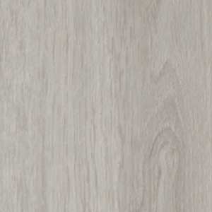Highland Oak Hybrid - Sterling Fall