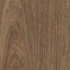Summerhill Hybrid - Spotted Gum