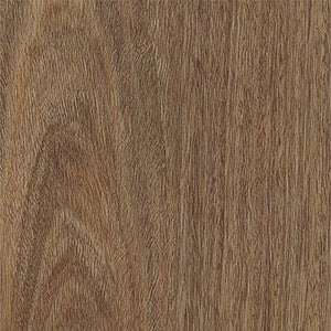 Summerhill Hybrid - Spotted Gum