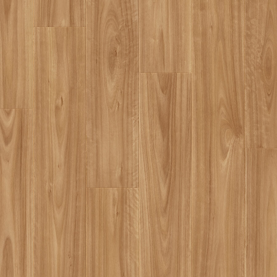 Impressive Ultra - Blackbutt