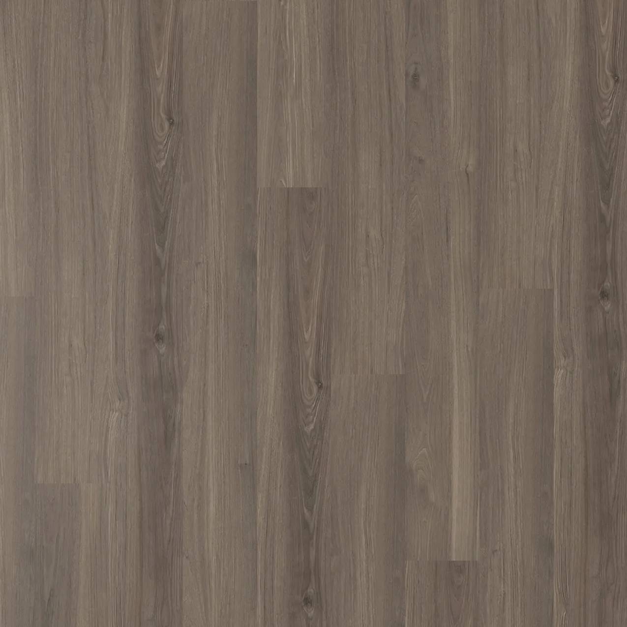 Metropol Oak Hybrid - Hyams Oak