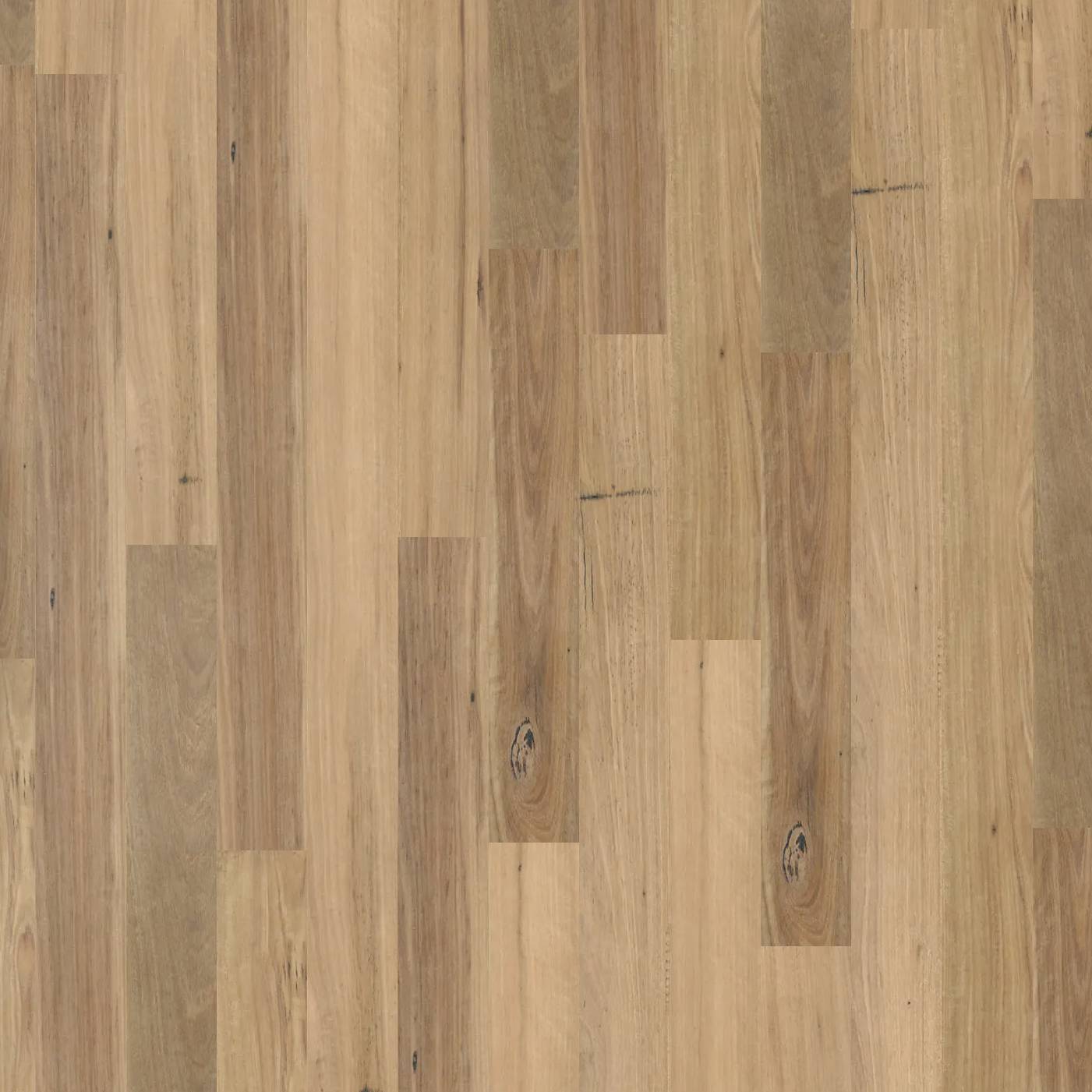 Modern Coastal - Blackbutt