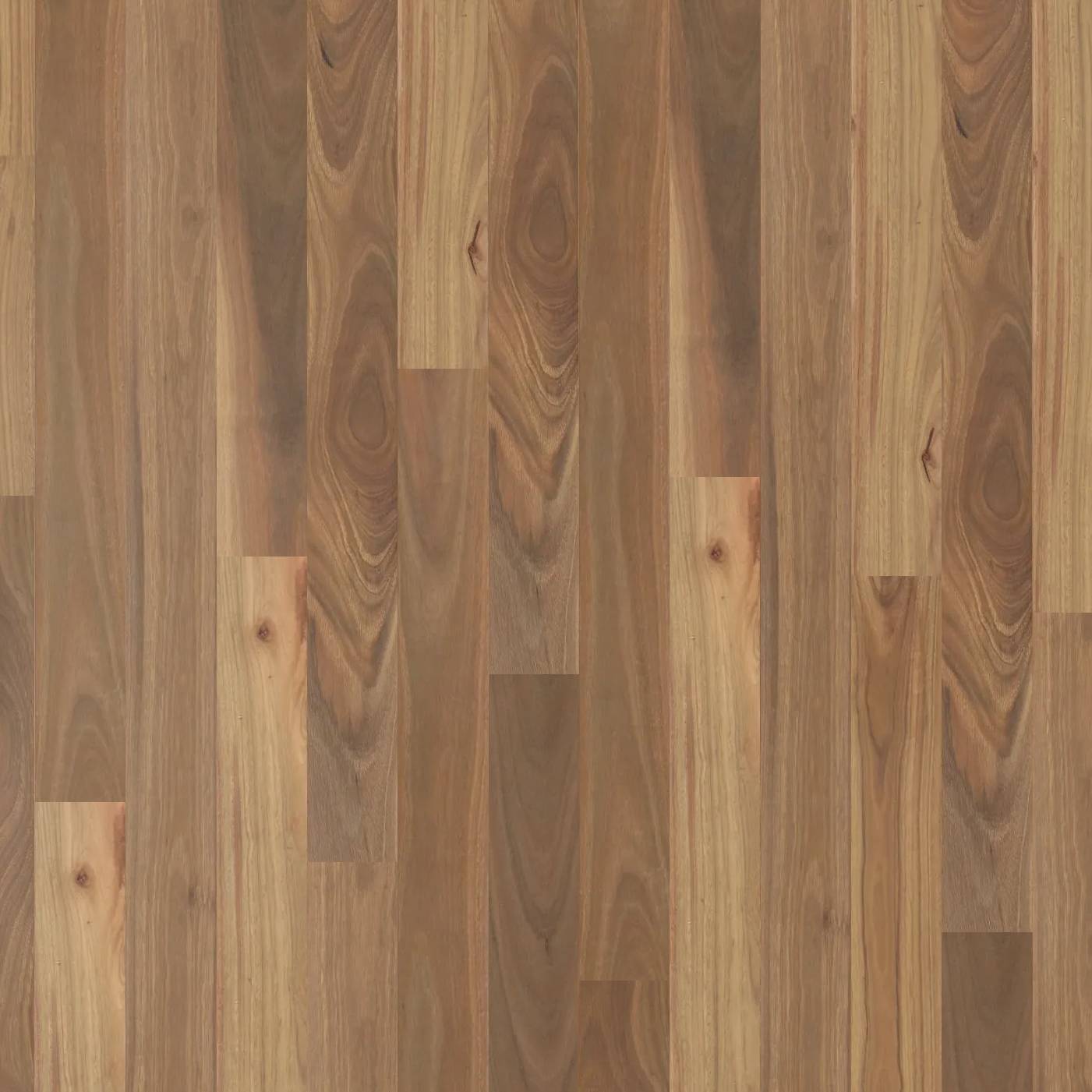 Modern Coastal - Spotted Gum