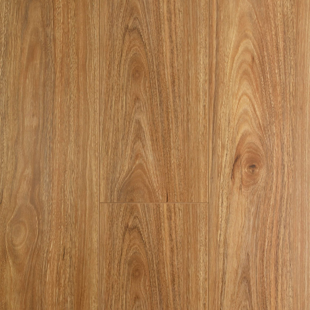 Oakleaf 12mm - Spotted Gum