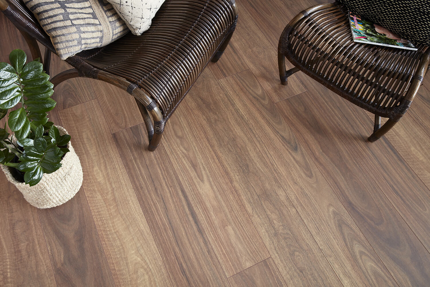 Wooden flooring with wicker chairs and a plant in a room setting