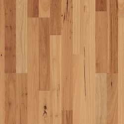 A close-up timber flooring sample of Blackbutt two-strip engineered hardwood flooring, showcasing its warm golden tones, subtle natural grain variation, and occasional characterful knots that give this popular Australian native hardwood species its timeless, inviting appeal.