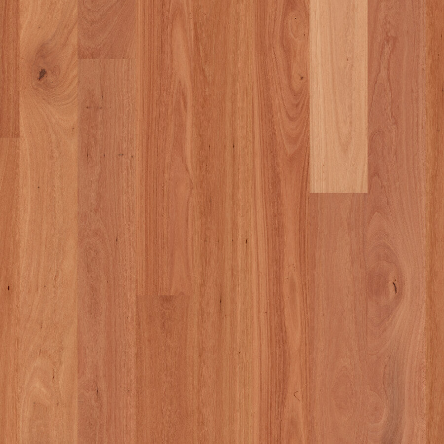 Readyflor 1 Strip - Sydney Blue Gum