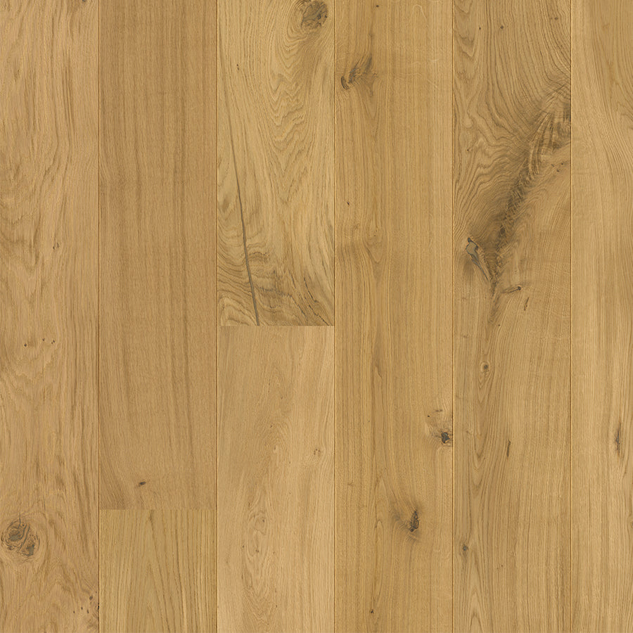 Riverlands Oak - Fitzroy