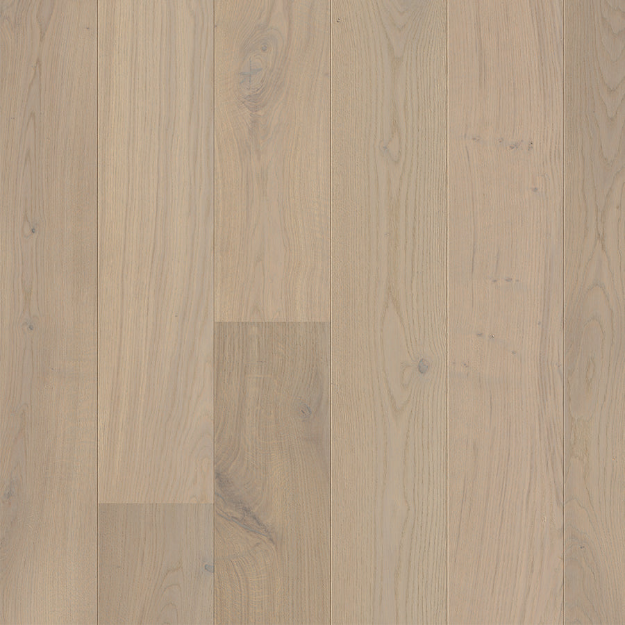 Riverlands Oak - Macquarie