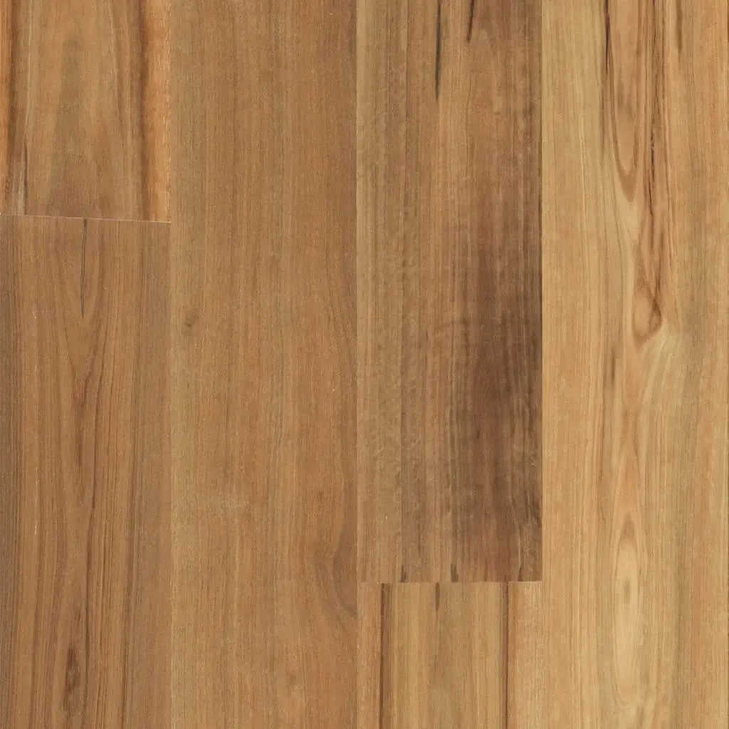 Hardwood Plus - Spotted Gum Matt Brushed Wide - 1820mm