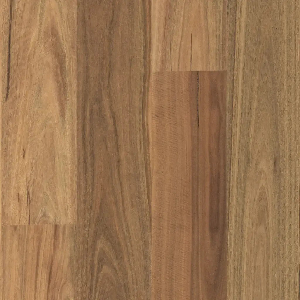 Hardwood Plus - Spotted Gum Matt Smooth Wide - 1820mm