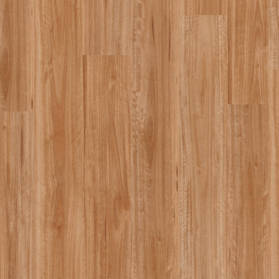 Titan Hybrid - Blackbutt