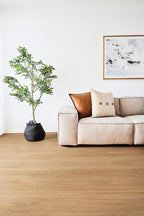 Titan Hybrid - Bleached Blackbutt