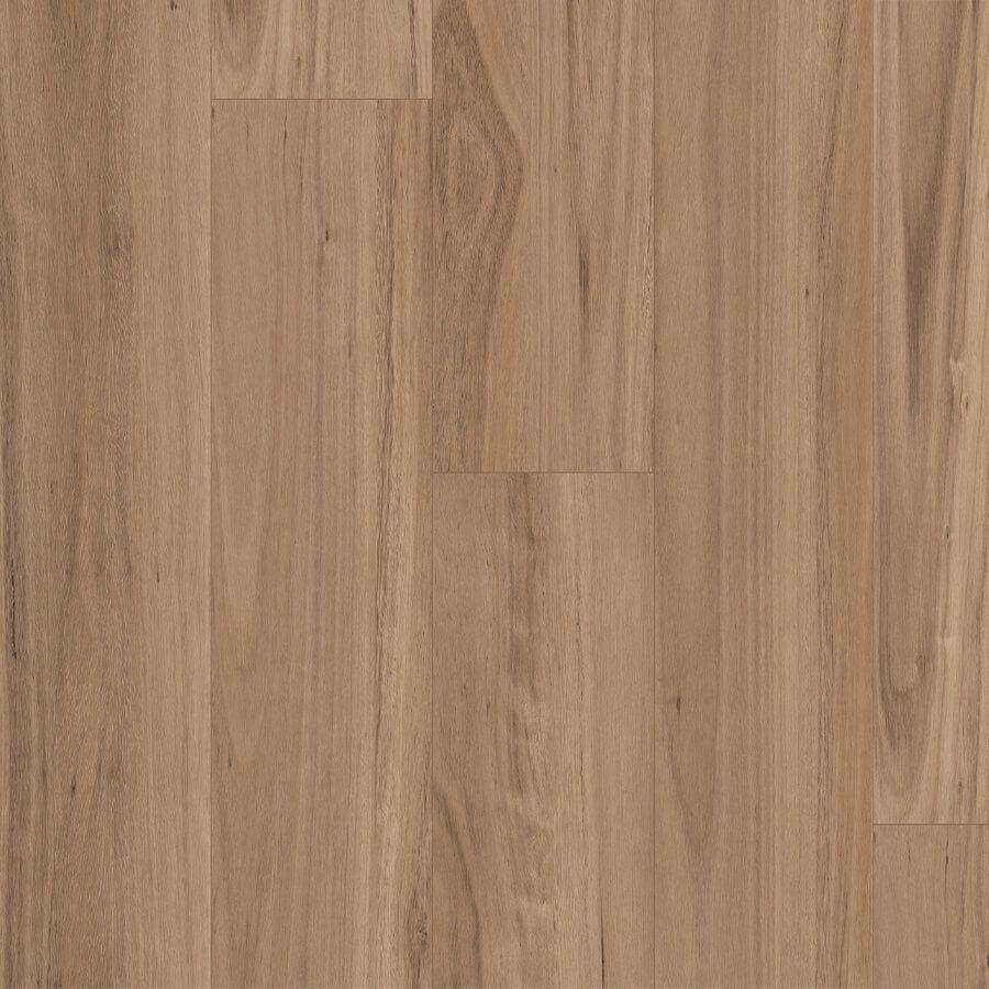 Titan Hybrid XXL - Blackbutt Select