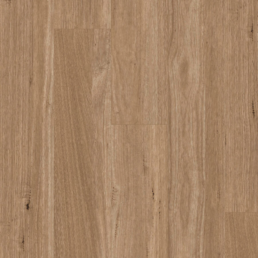 Titan Hybrid XXL - Tasmanian Oak