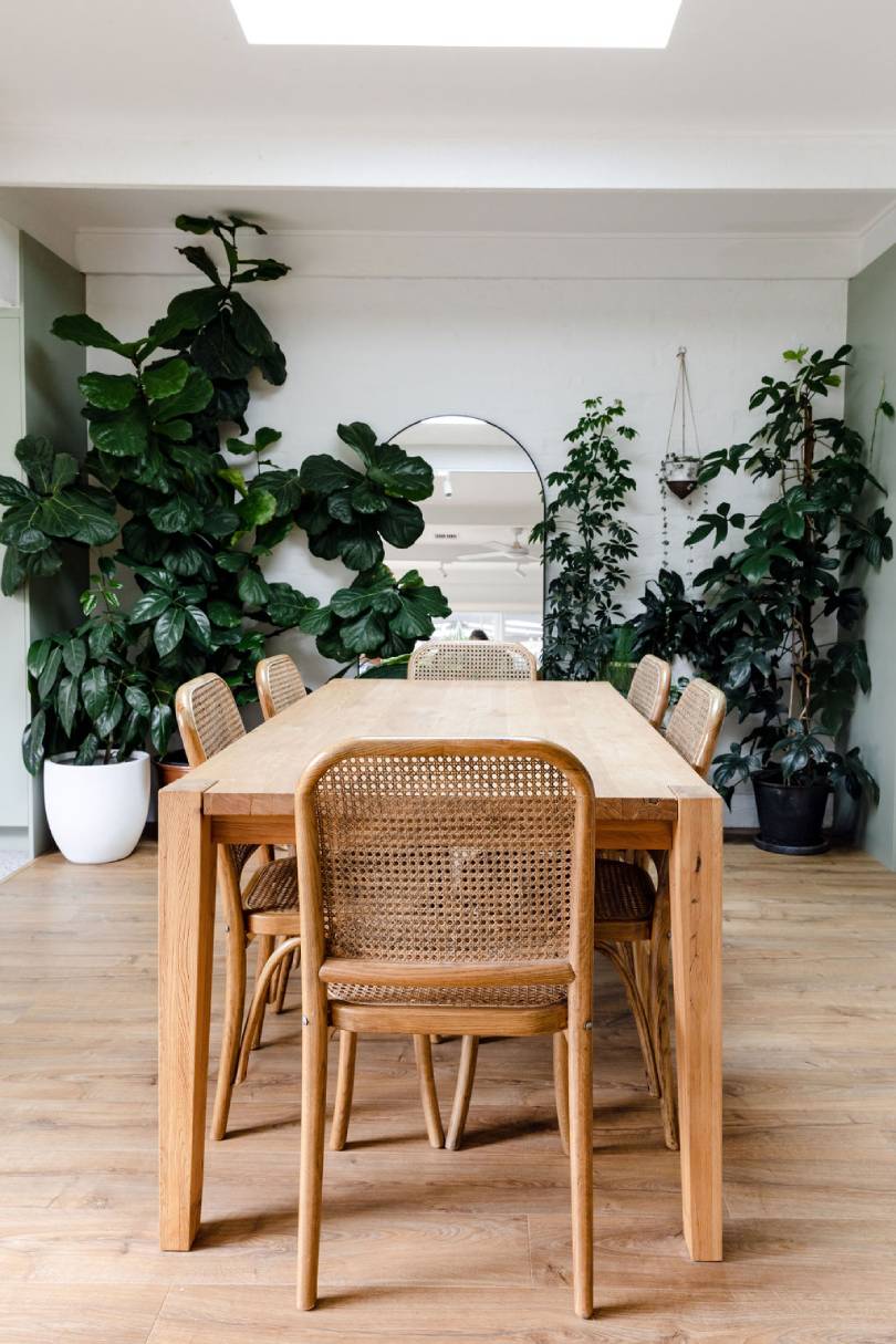 A lush, nature-inspired dining room with warm light oak timber flooring beautifully complementing a solid oak dining table and woven rattan cane chairs, surrounded by an abundance of thriving indoor plants and bathed in natural light from a skylight above for an effortlessly organic, biophilic feel.
