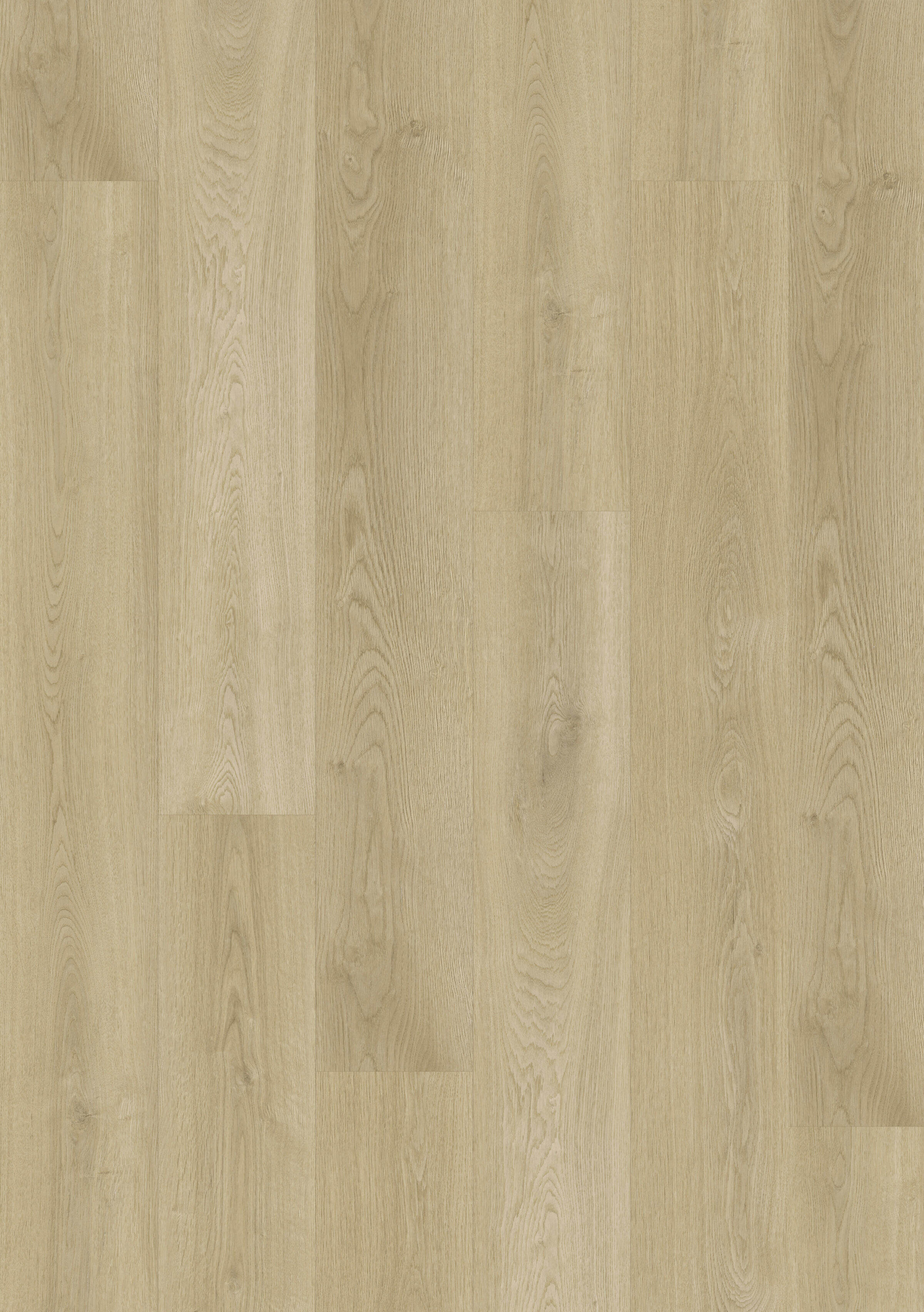 Titan Hybrid - Snow Gum Oak