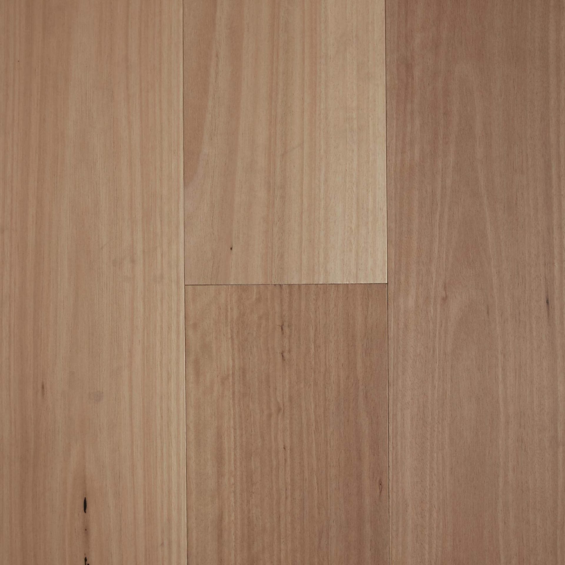 Town & Country Rustic Australian Natives 189mm - Blackbutt
