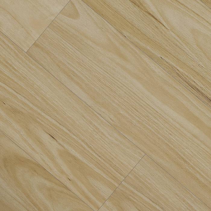 Vista - Alpine Blackbutt