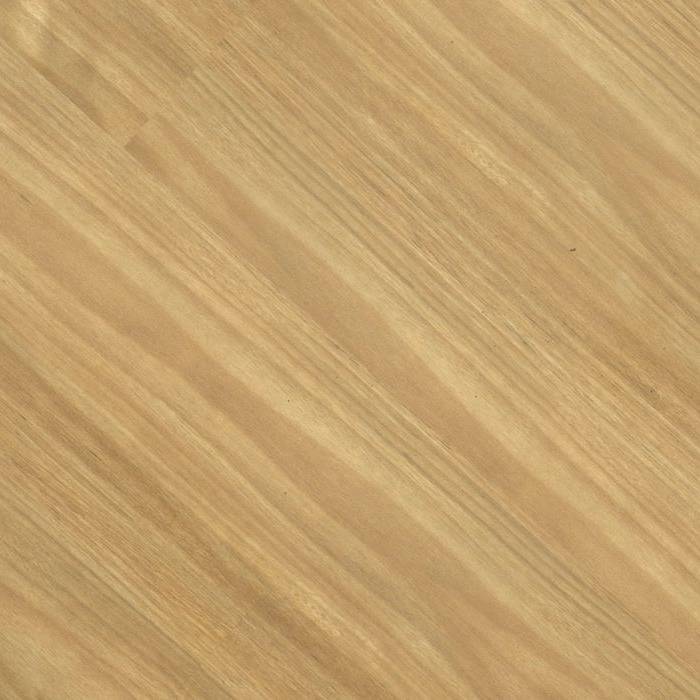 Vista - Eastern Blackbutt