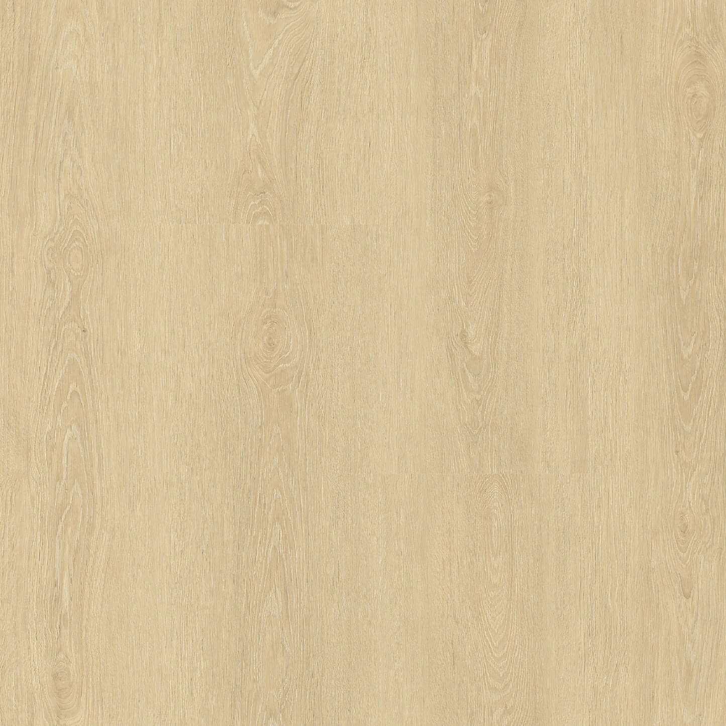 Zenku Creations - Calatrava Oak