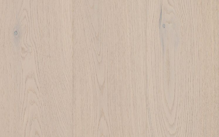 GrandOak Noble - Canterbury Oak