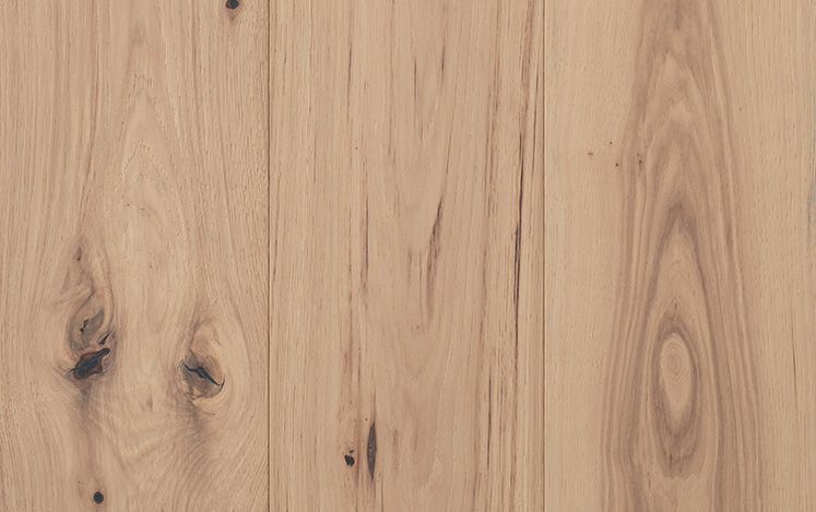 Hickory Impressions Classique - Artax