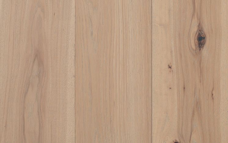 Hickory Impressions Classique - Seabiscuit