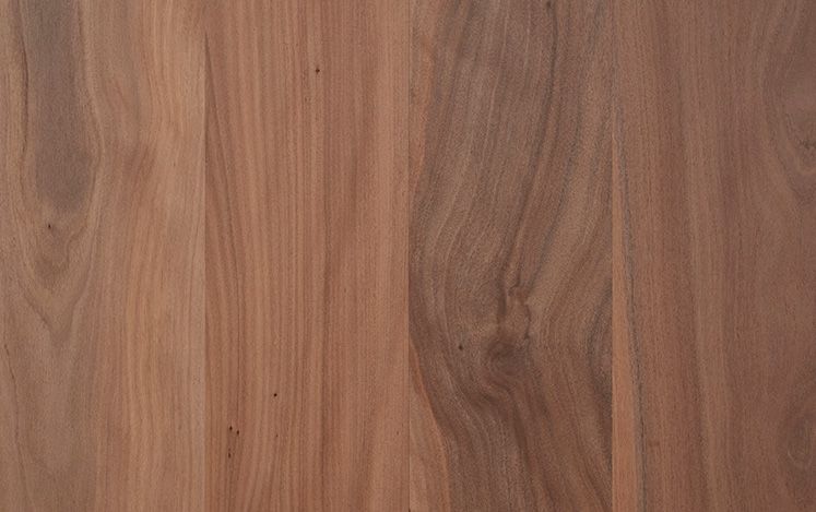 Opulence Australian Native - Brushbox Square Edge Narrow