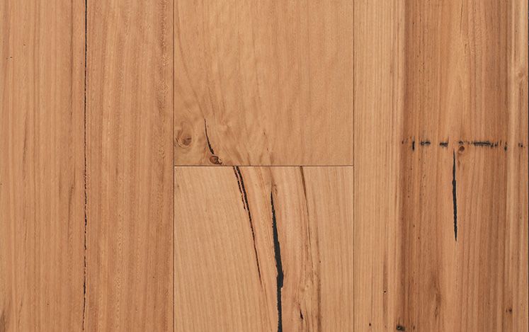 Regency Hinterland - Blackbutt Rustic